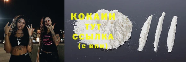 хмурый Касимов
